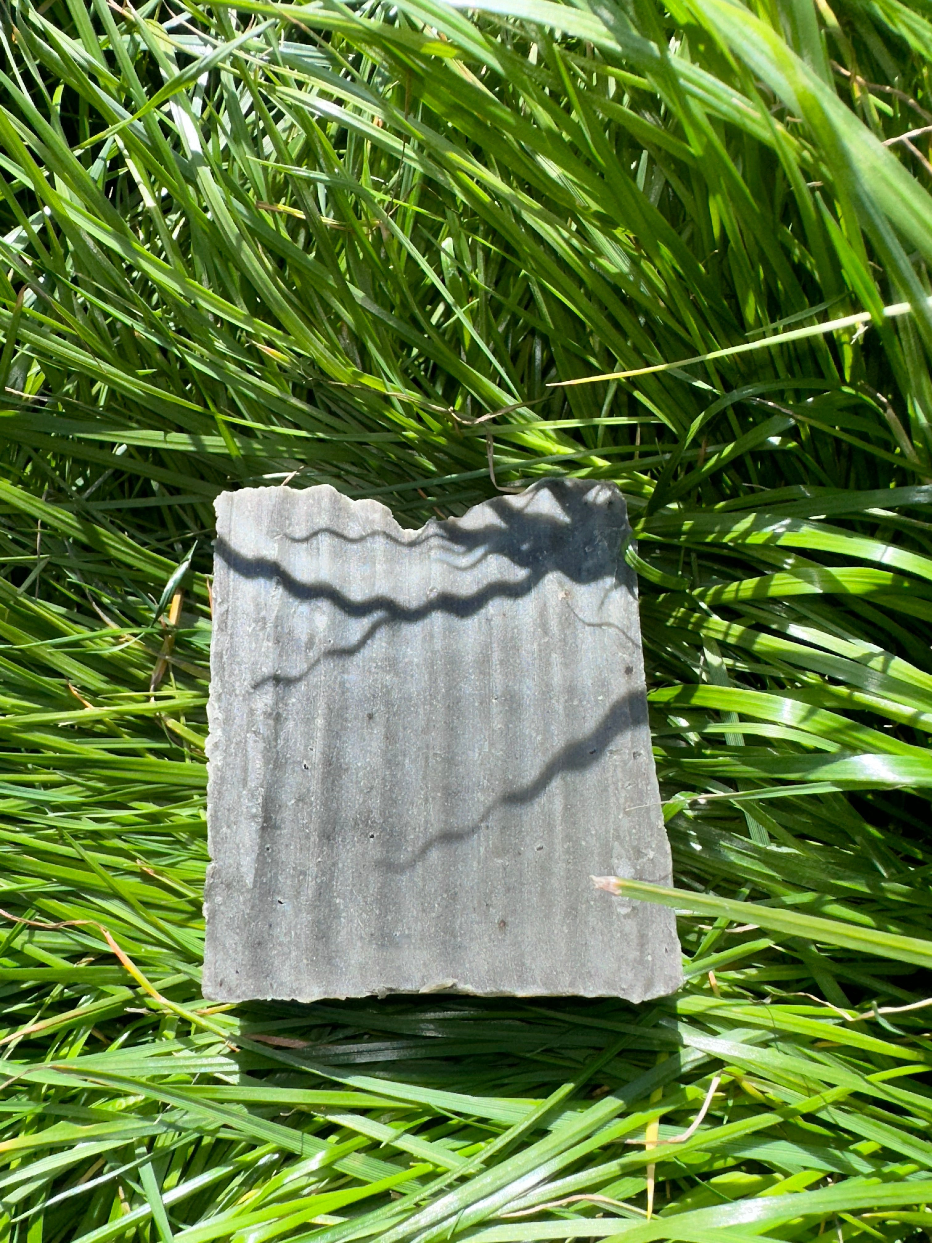 Dead Sea Mud + Activated Charcoal detox soap